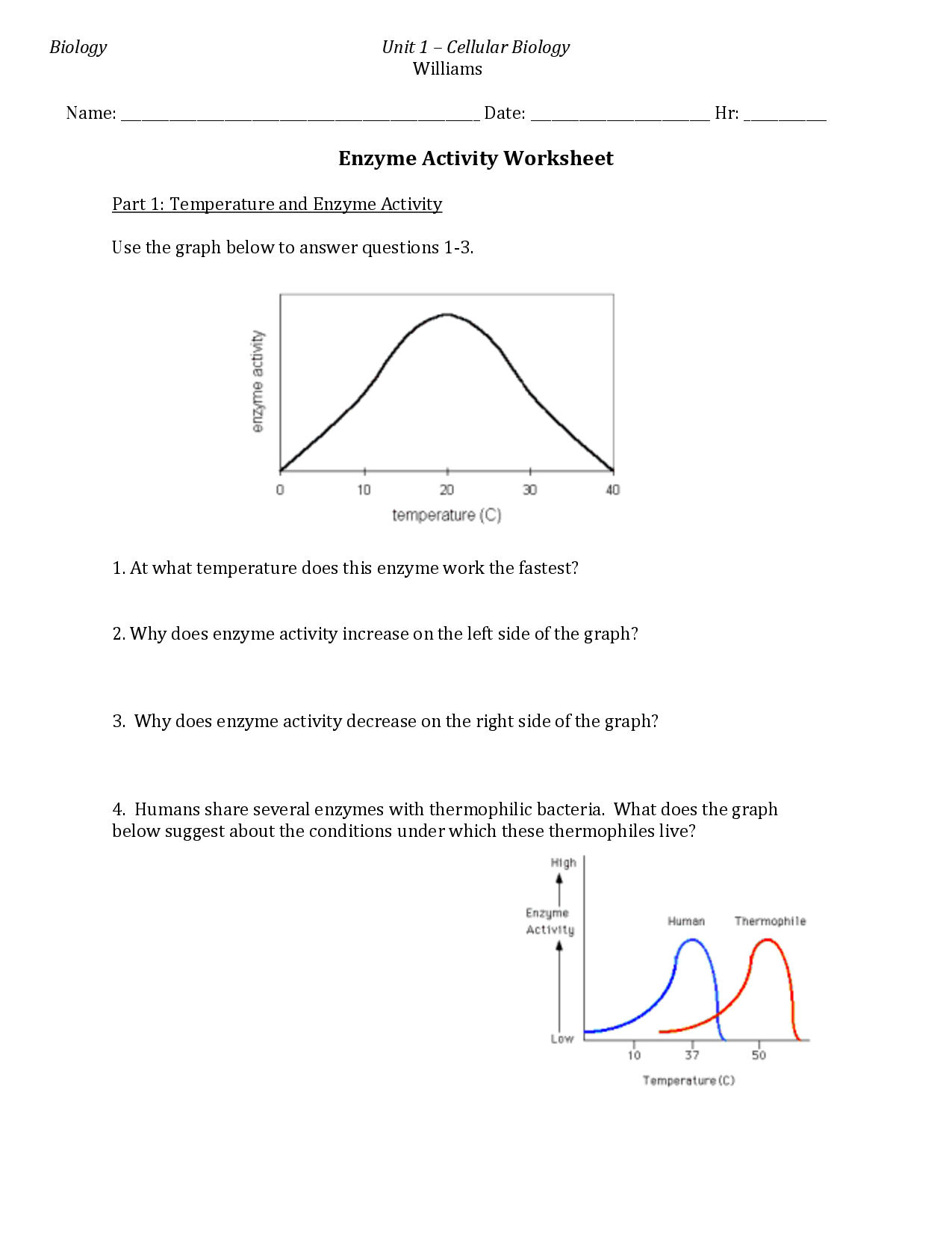 20-best-images-of-explain-how-enzymes-work-enzyme-graph-worksheet-1-answers-using-enzyme