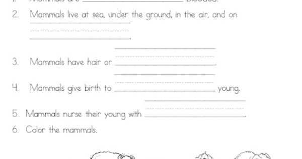 Mammals Worksheets for 2nd Grade