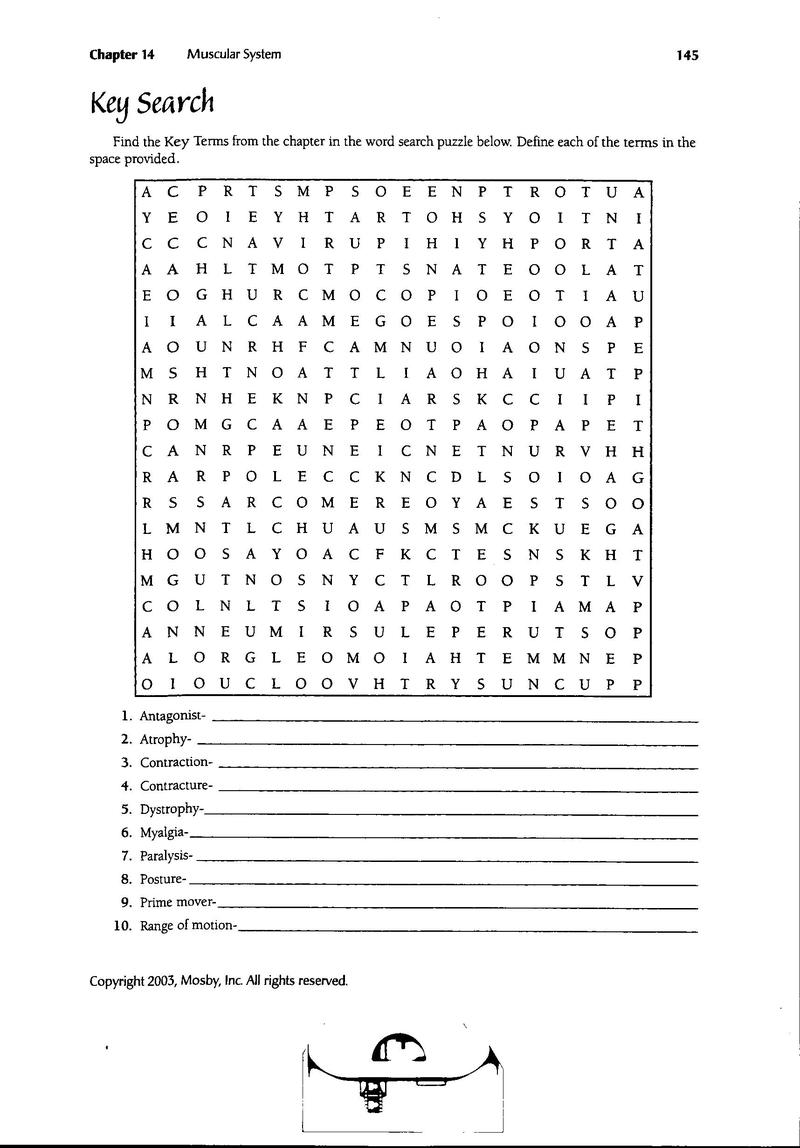 14 Best Images of Muscle Labeling Worksheet High School - Muscular