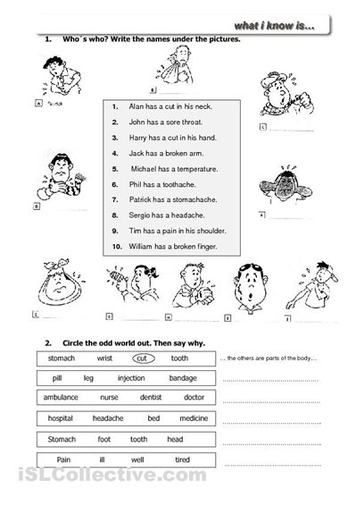 14-best-images-of-basic-first-aid-worksheets-printable-basic-first