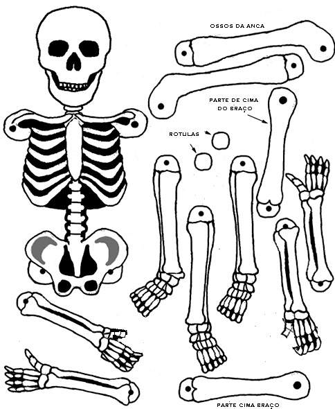 Halloween Skeleton Craft Printable
