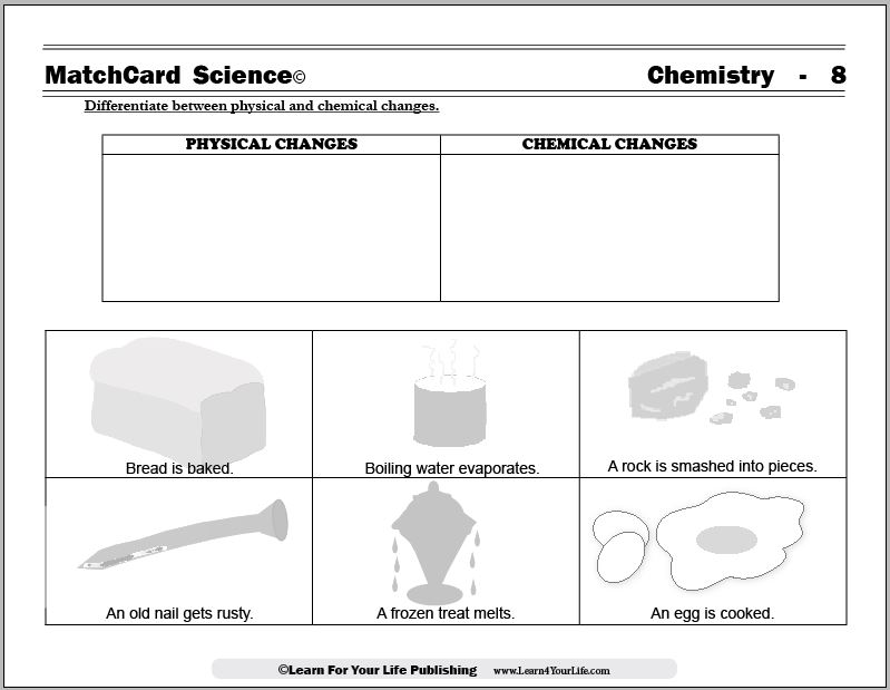Physical And Chemical Changes Worksheet
