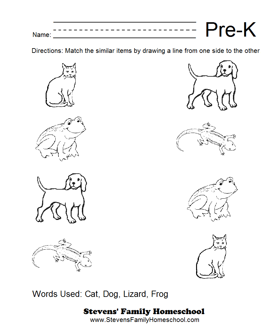 16 Best Images Of Pre K Math Homework Worksheets Pre K Math 16 Best Images Of Pre K Math Homework Worksheets Pre K Math