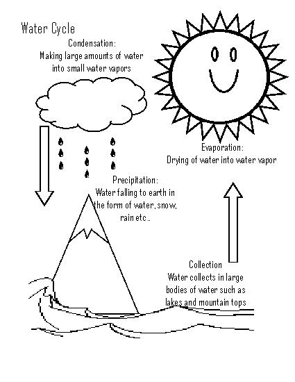 10-best-images-of-water-cycle-worksheet-5th-grade-water-cycle