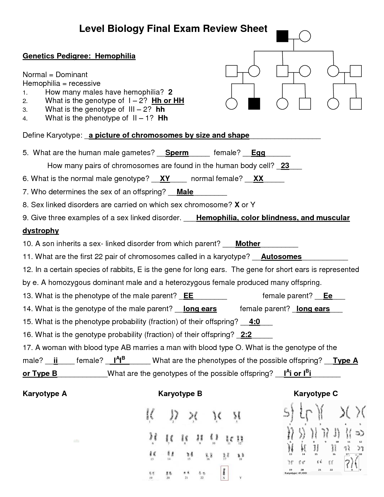 11 Best Images of Karyotype Worksheet Answers - Human Karyotype