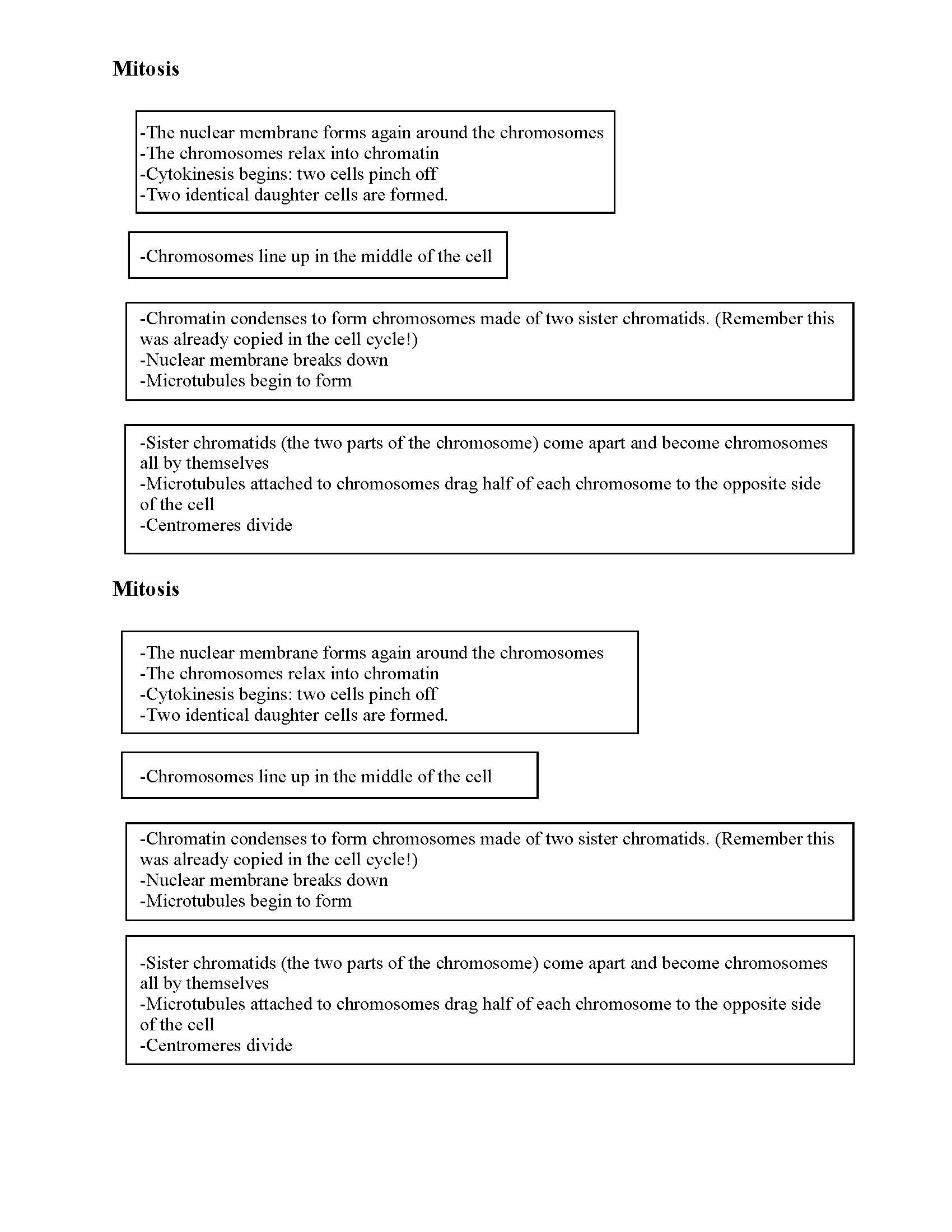 Meiosis Matching Worksheet Answer Key