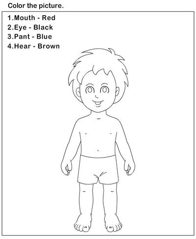 Preschool Worksheets Body Parts