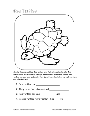 Sea Turtle Reading Comprehension Worksheets