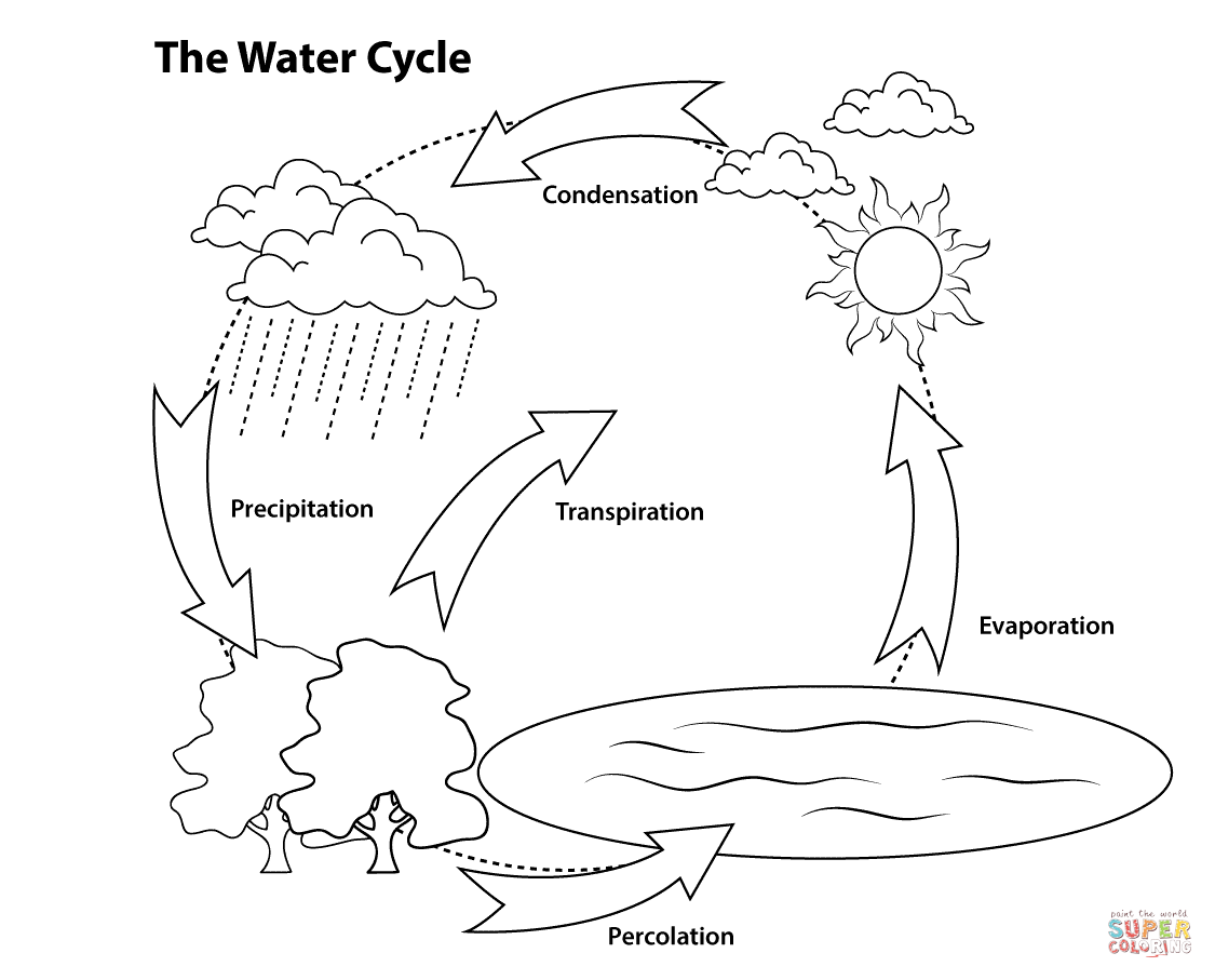Water Cycle Coloring