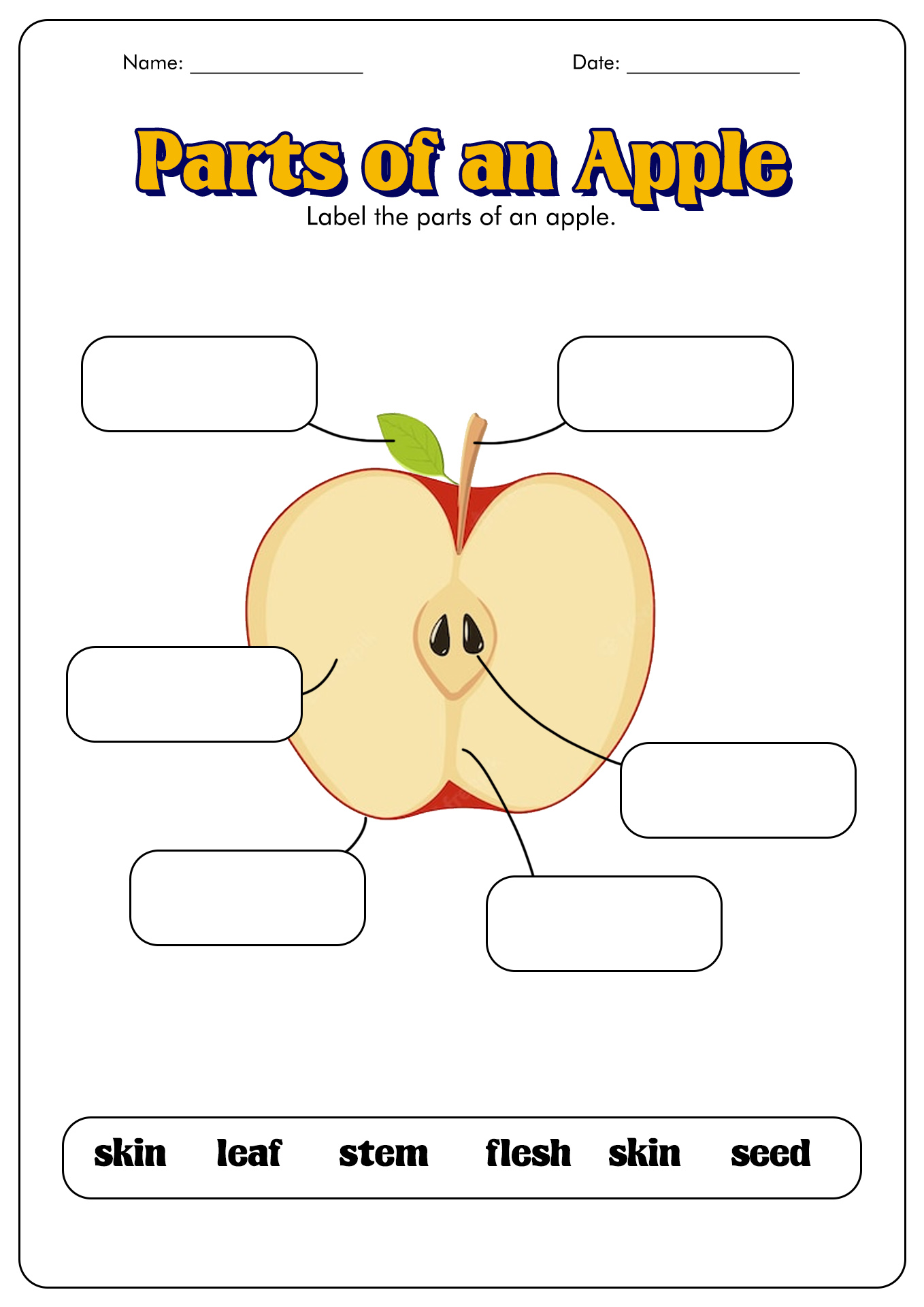 13 Best Images Of Apple Activity Worksheets Apple Counting Printable