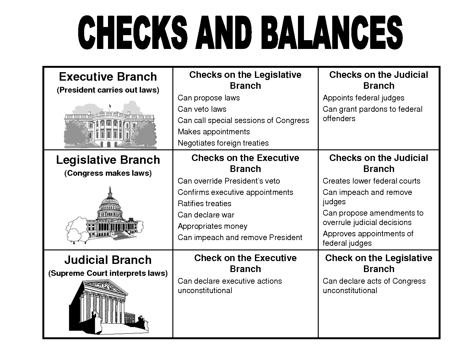 Checks and Balances Chart