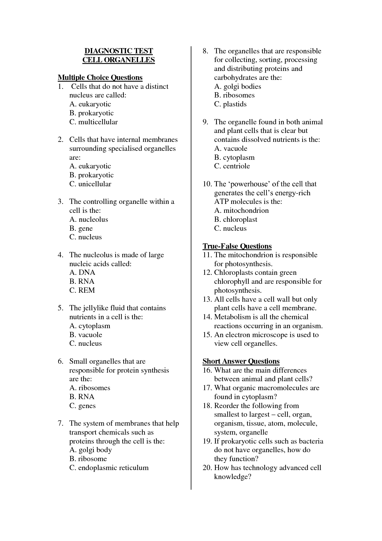 Grade 2 Multiple Choice Math Worksheets