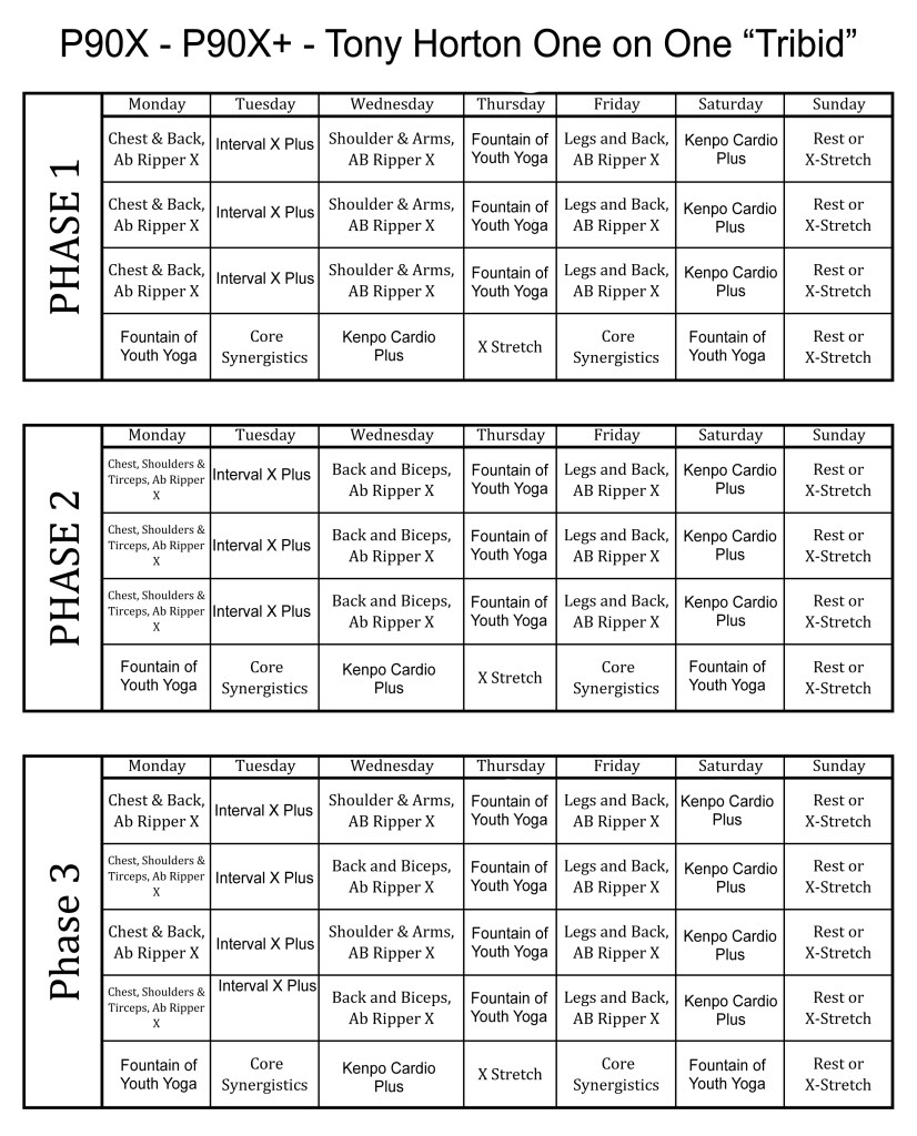 12 Best Images of Free Printable Worksheets P90X P90X Plus Workout