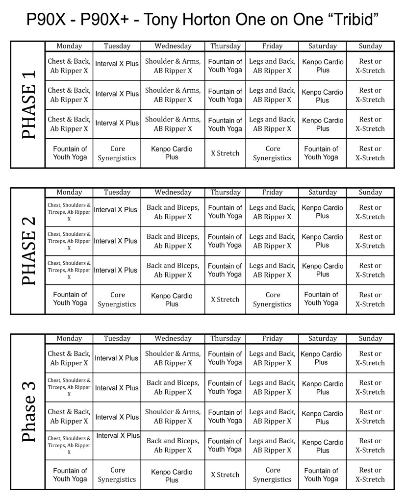 10 Minute P90x plus workout calendar pdf for Beginner