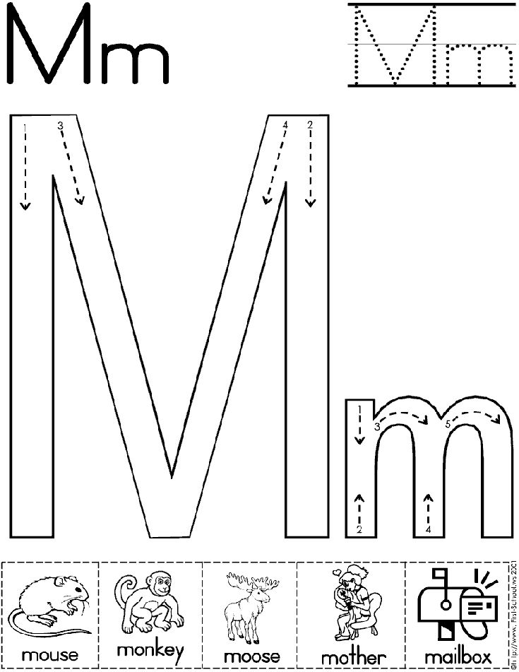 14 Best Images of Free Printable Phonics Worksheets For Letter N