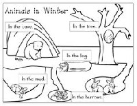 Winter Animal Hibernation Worksheets