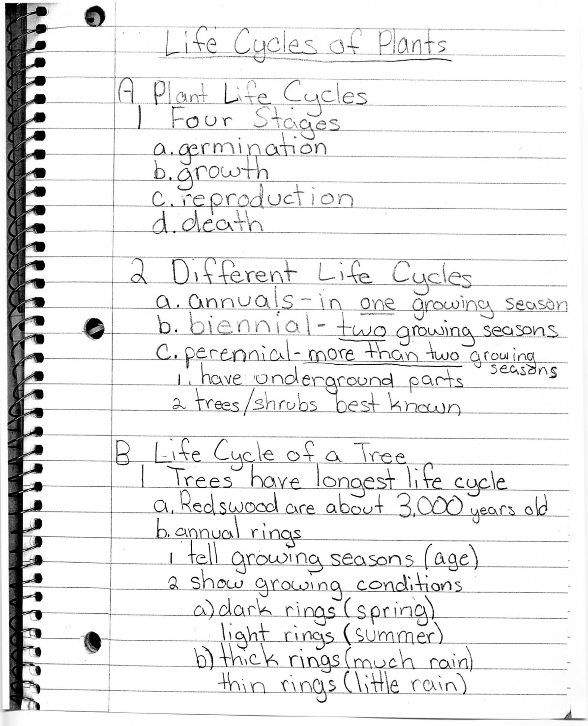 8th Grade Science Plant Notes