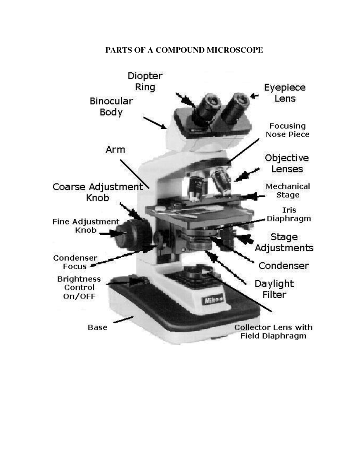 Parts Of A Microscope Worksheet