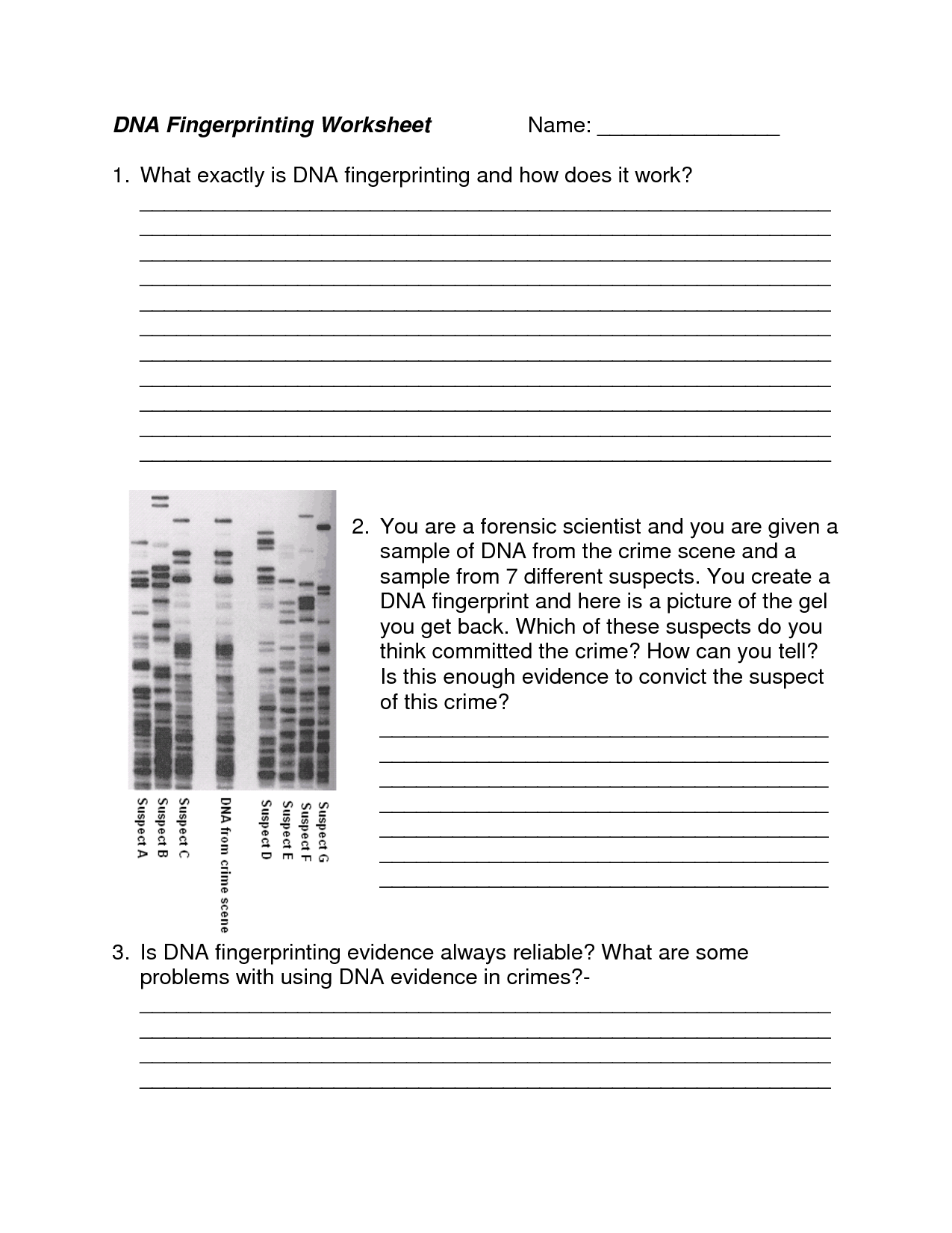 17 Best Images of DNA Worksheet Printable - DNA RNA ...