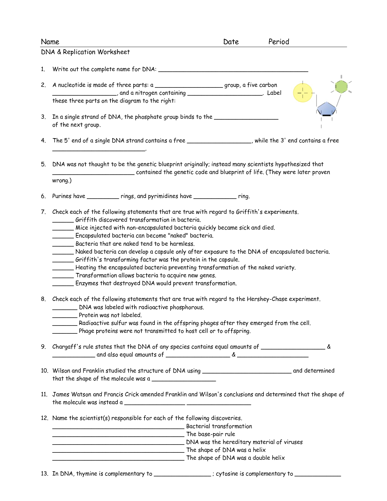 17 Best Images of DNA Worksheet Printable  DNA RNA Structure Worksheet, DNA Coloring Page for 