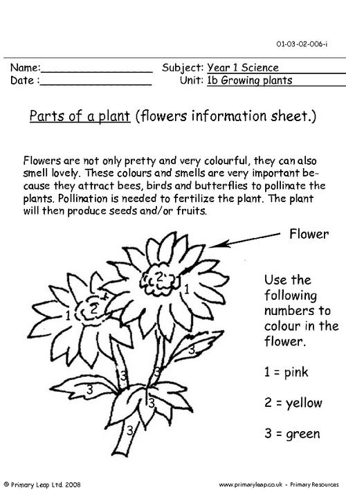 13 Best Images of Parts Of A Poem Worksheet - Poems About Body Parts