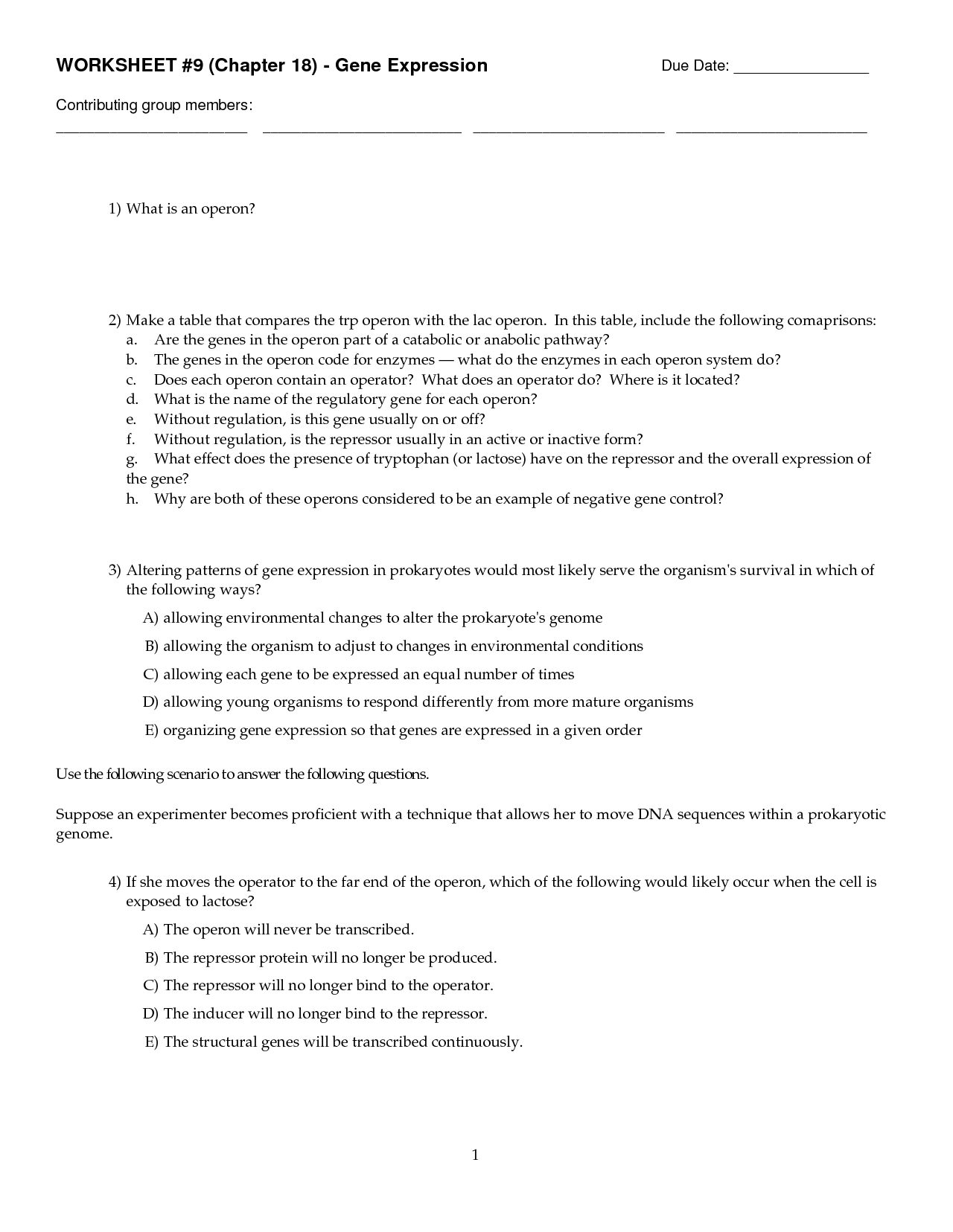 12 Best Images of Gene And Chromosome Mutation Worksheet  Genetic Mutation Worksheet Answer Key 