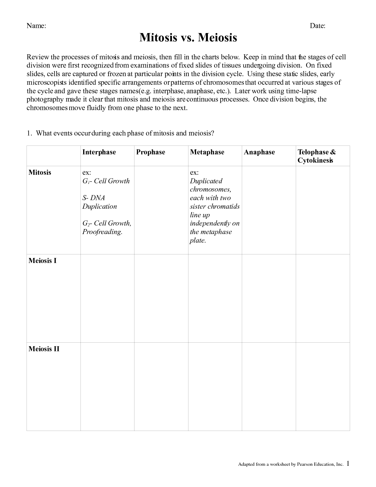 15 Best Images of Mitosis Vs Meiosis Worksheet Answers 
