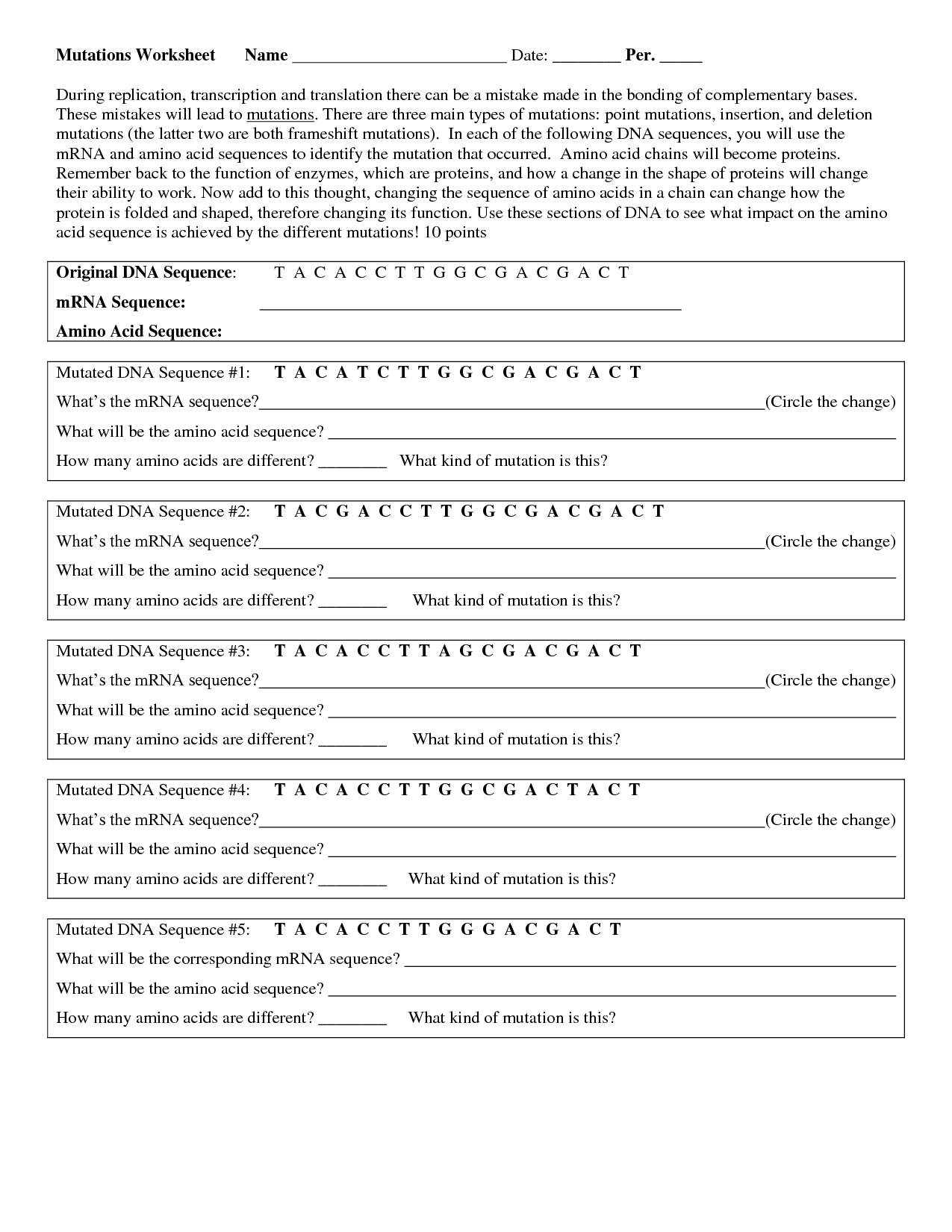 Genetic Mutation Worksheet Answer Key