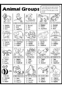 Animal Groups Worksheets for Kids