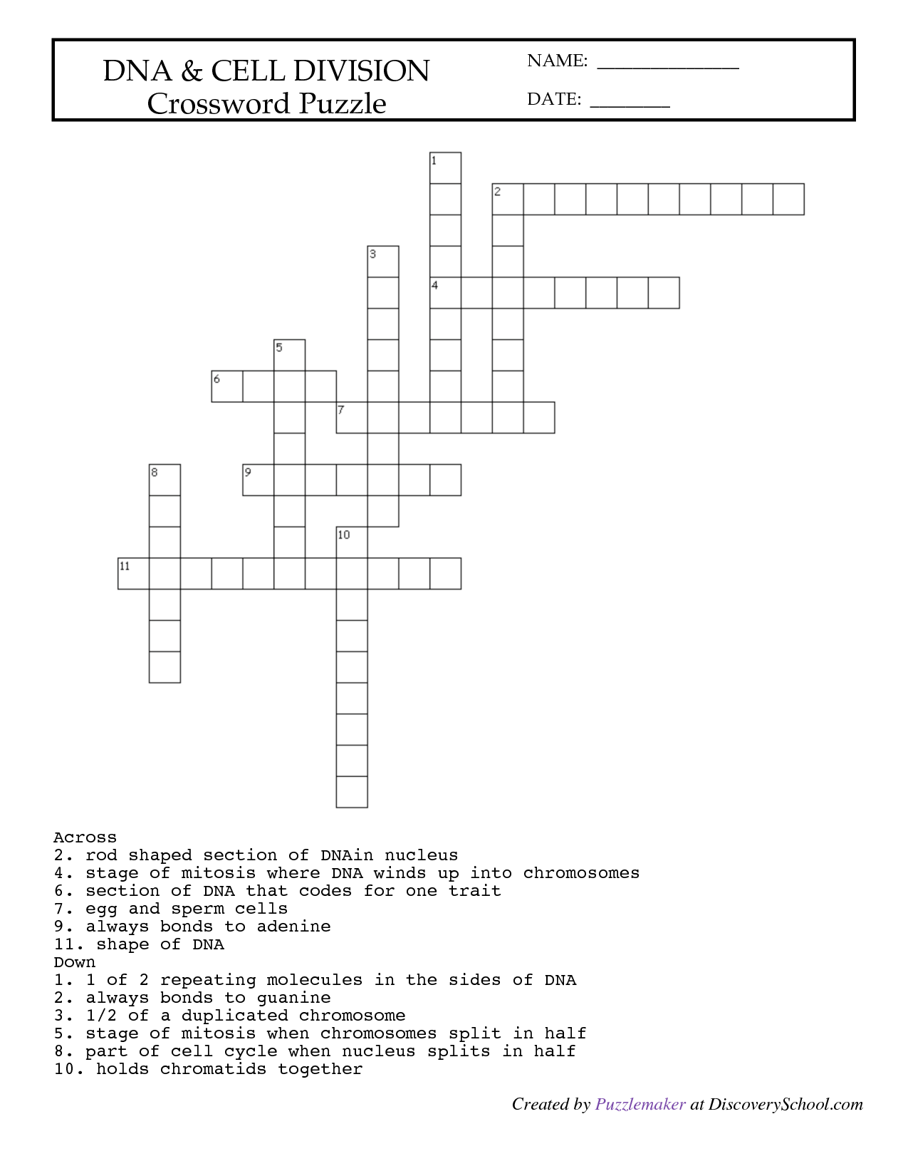 14-best-images-of-mitosis-worksheet-answers-crossword-cell-division-crossword-puzzle-answer