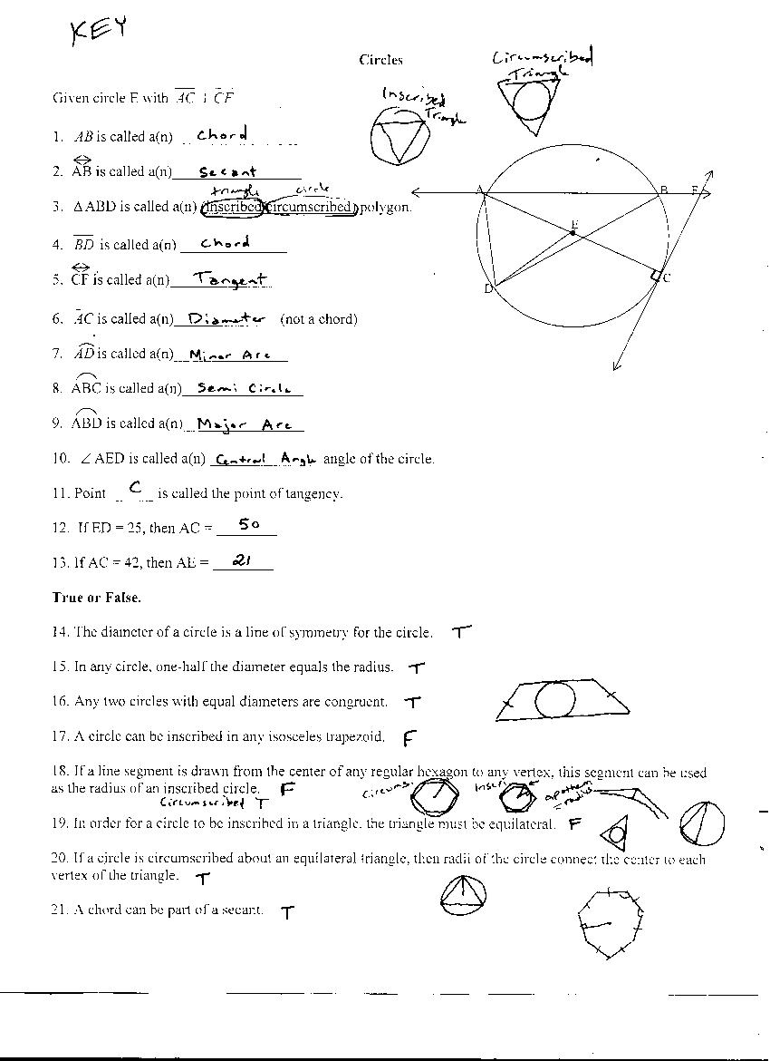 Measuring Angles Worksheet Answer Key