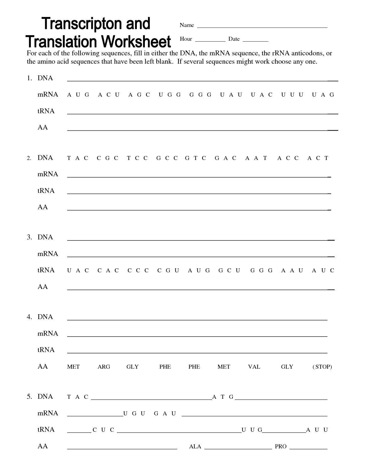 13 Best Images of Transcription And Translation Worksheet Answer Key  DNA Coloring 