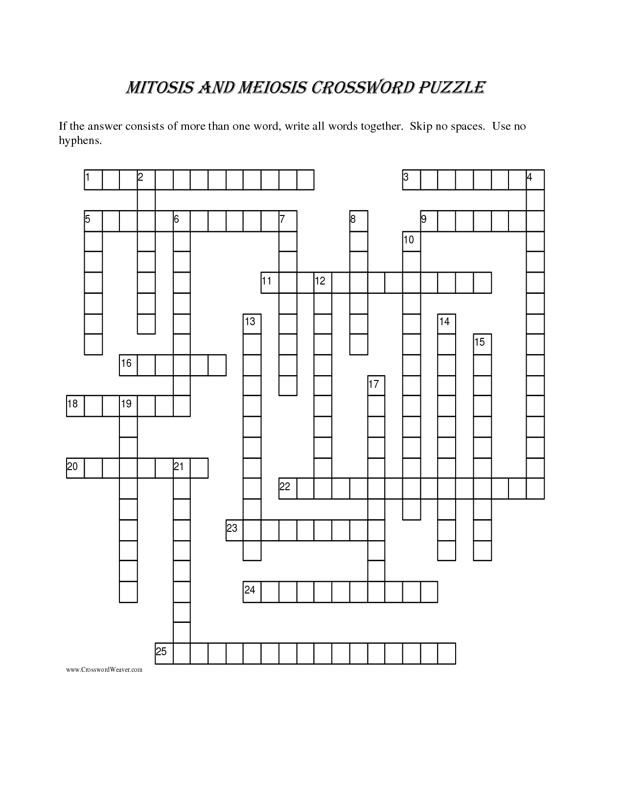 14 Best Images of Mitosis Worksheet Answers Crossword - Cell Division