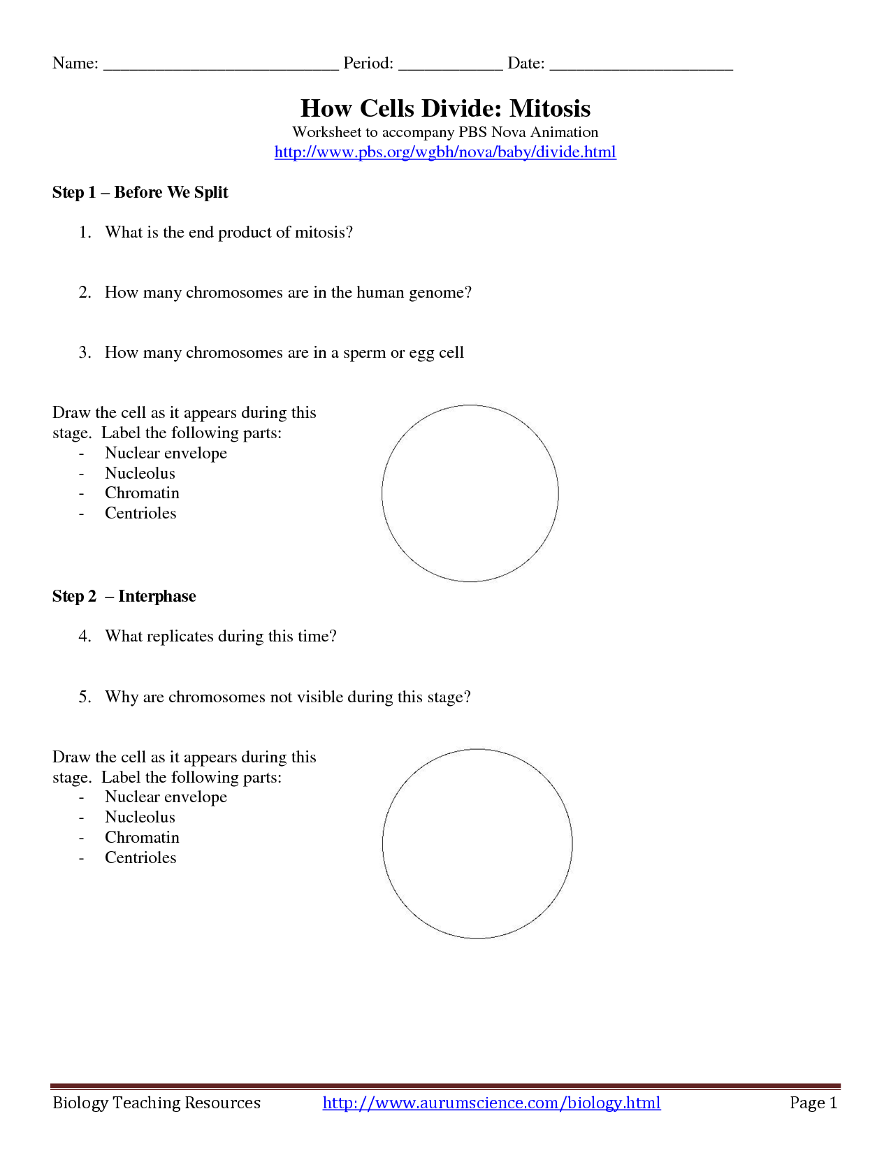 14 Best Images of Mitosis Worksheet Answers Crossword Cell Division Crossword Puzzle Answer 14 Best Images of Mitosis Worksheet Answers Crossword Cell Division Crossword Puzzle Answer