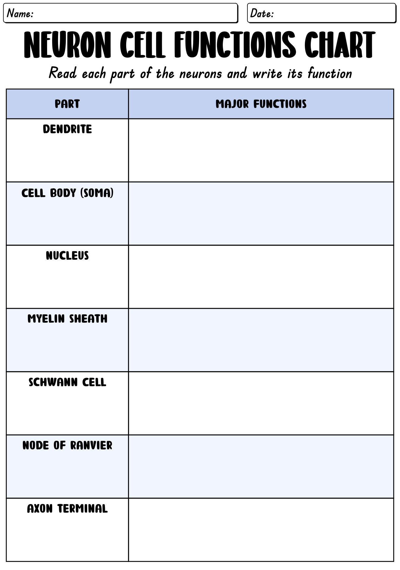 12 Best Images of Neuron Worksheet S - Label Neuron Blank Diagram