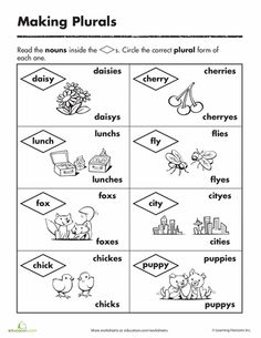 Plural Nouns Worksheets First Grade