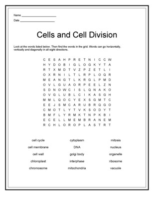 14 Best Images of Mitosis Worksheet Answers Crossword - Cell Division