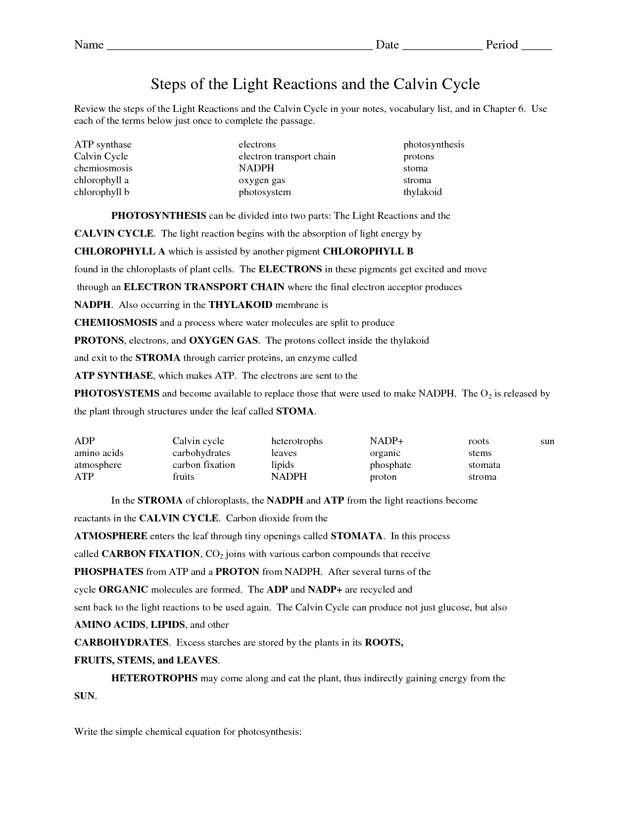 13 Best Images of 6th- Grade Photosynthesis Worksheet - Biology Cell