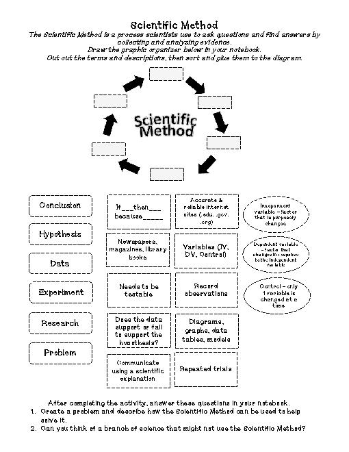 13 Best Images of 6th- Grade Photosynthesis Worksheet - Biology Cell