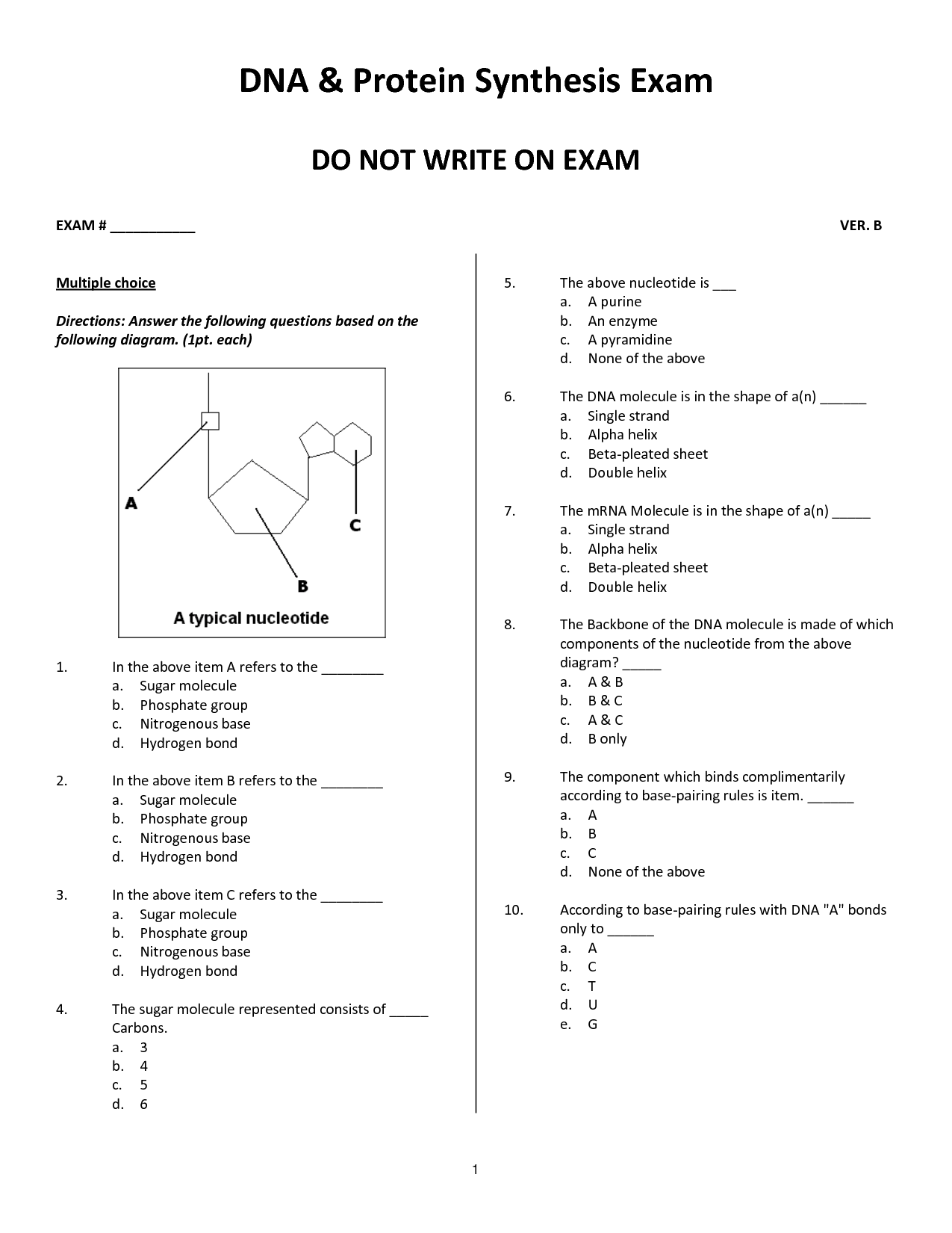 10 Best Images of Protein Synthesis Diagram Worksheet  Protein Synthesis Worksheet Answer Key 