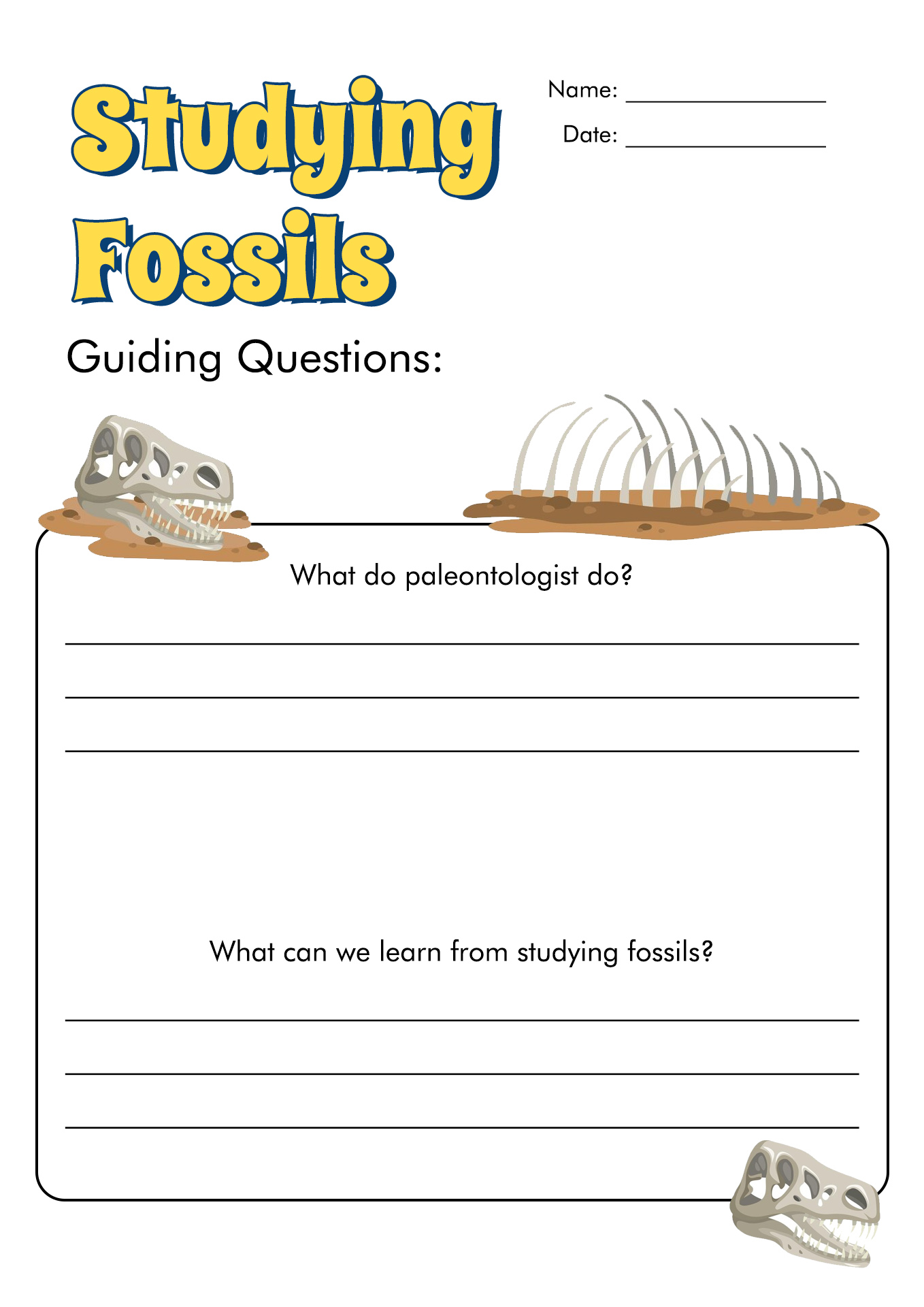 11 Best Images Of Fossils Activities Worksheets Fossil Activity