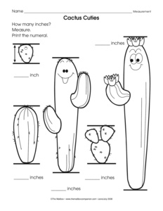 11 Best Images of Reading A Ruler Worksheet - Reading a Scale Ruler