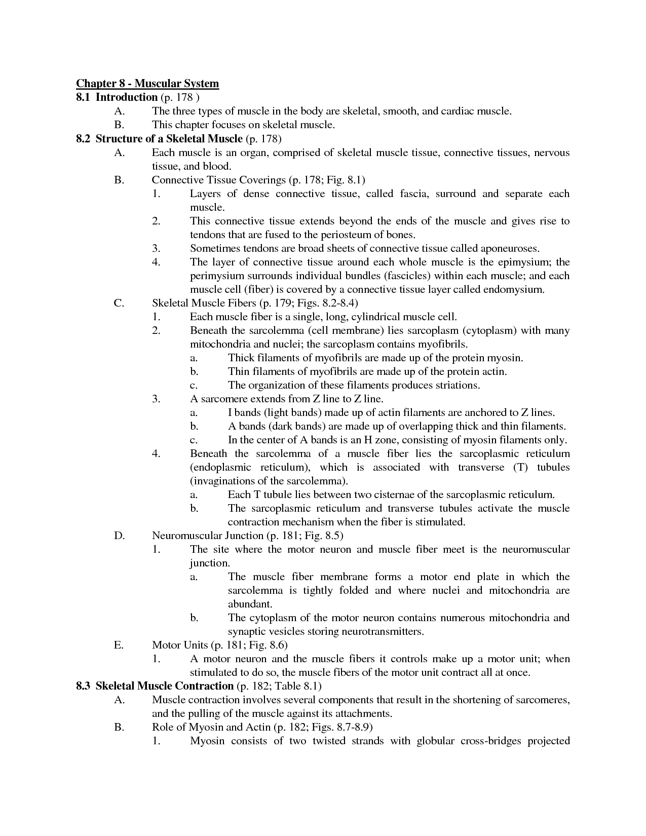 Muscular System Worksheet Answer Key