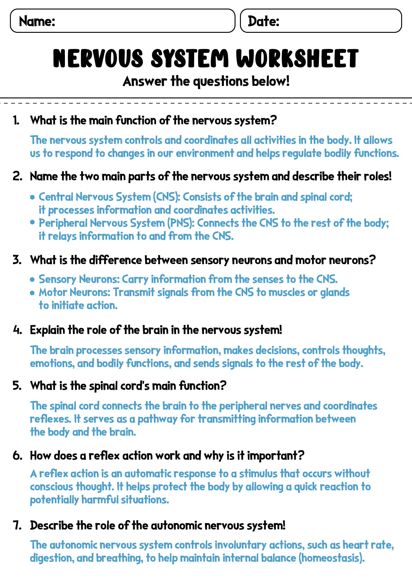 15 Best Images Of Anatomy And Physiology Worksheet Packets The