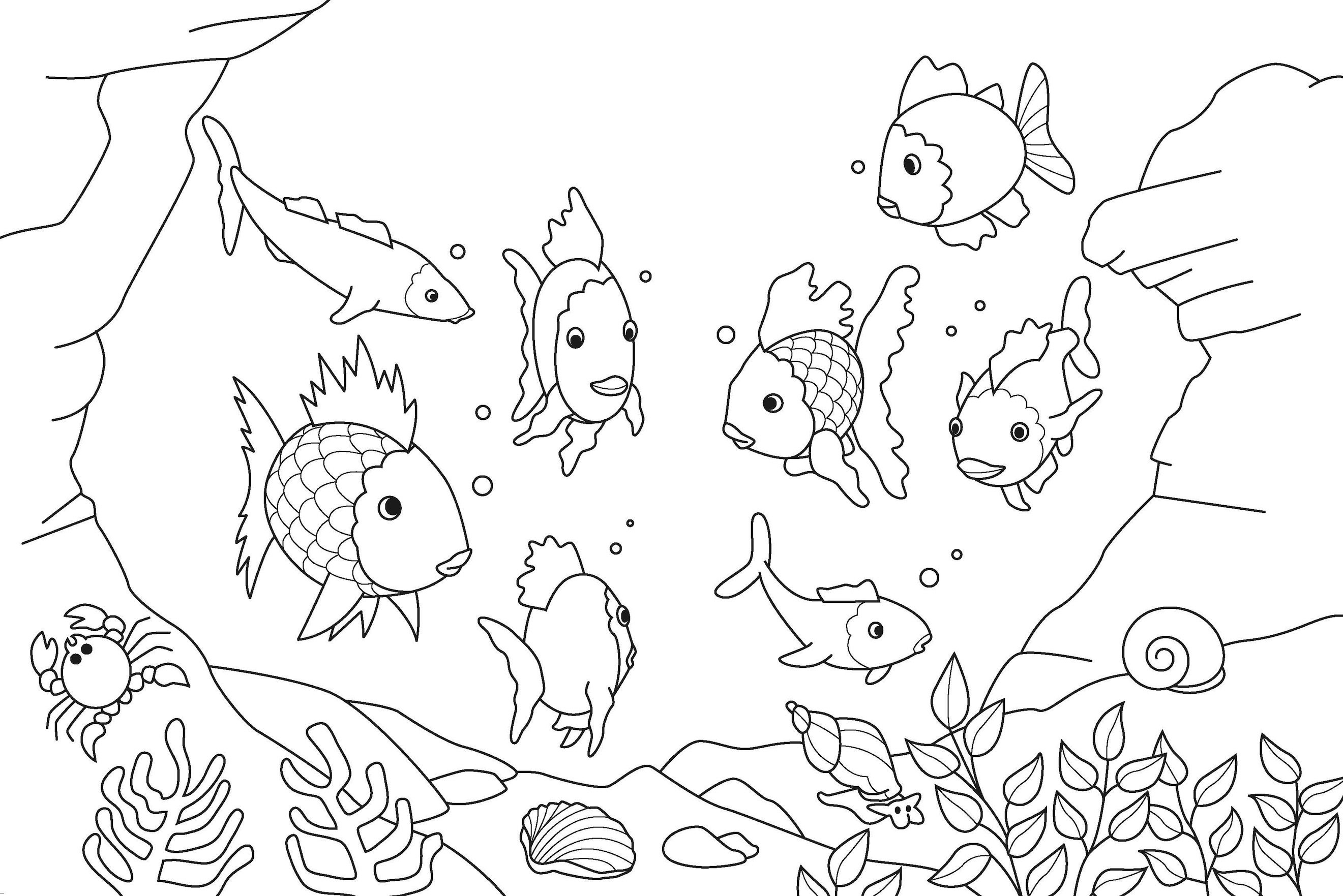 Rainbow Fish Coloring Pages for Kids