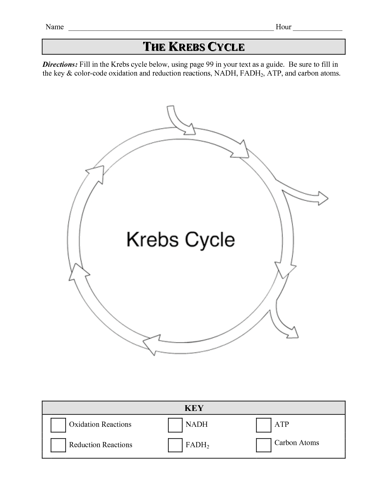 13 Best Images of Carbon Dioxide Cycle Worksheets - Carbon Dioxide