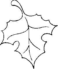 Leaf Outline Clip Art