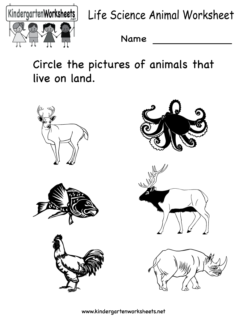 Free Kindergarten Science Worksheets