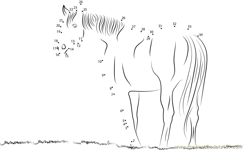 Horse Connect the Dots Worksheets Image