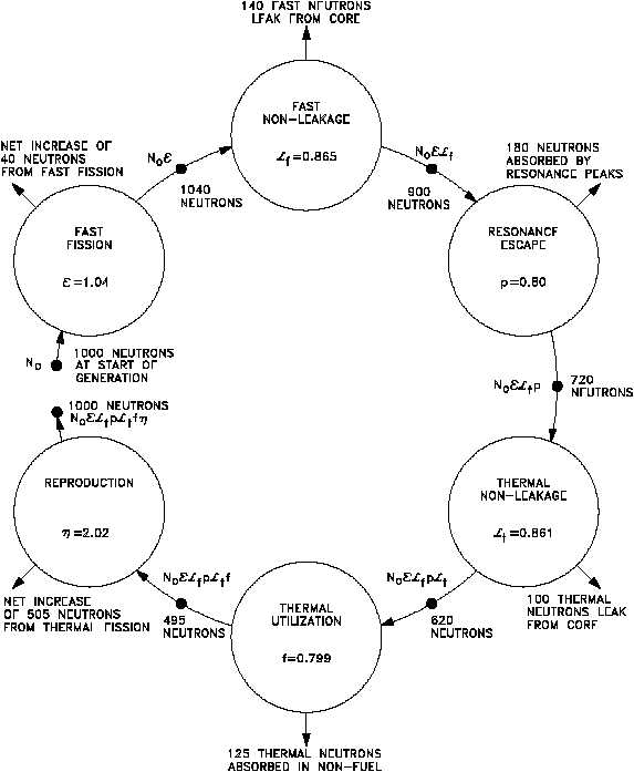 Neutron Life Cycle Image